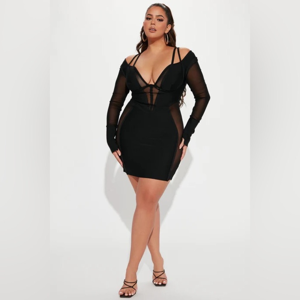 Fashion Nova Black Mesh Long Sleeve Dress